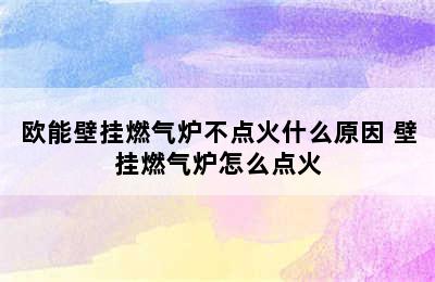 欧能壁挂燃气炉不点火什么原因 壁挂燃气炉怎么点火